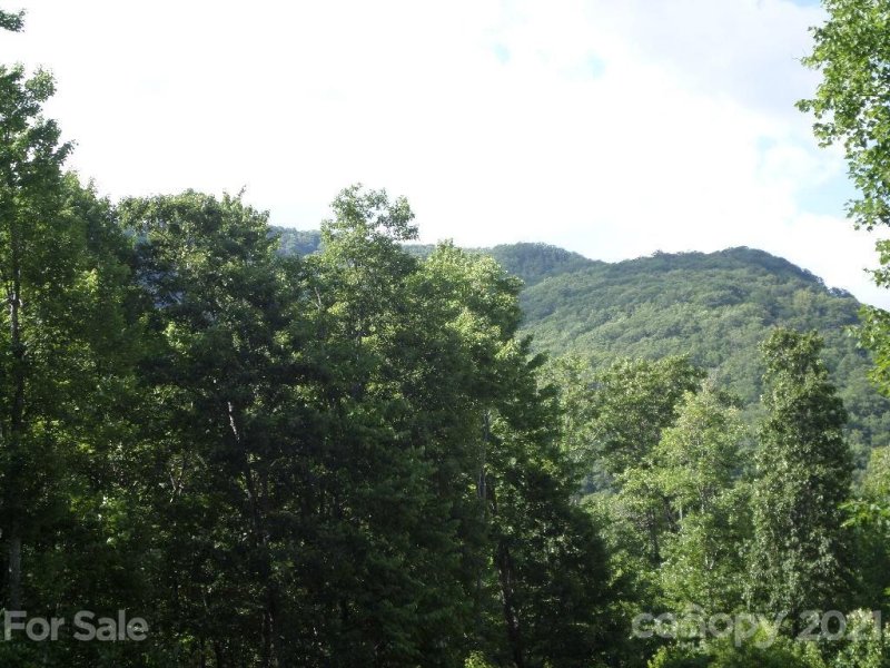 Property image 3 at 104 Tenderfoot Trail, Maggie Valley, NC 28751