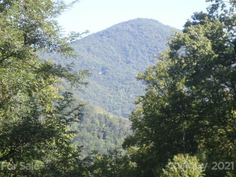 Property image 2 at 110 116 Tenderfoot Trail, Maggie Valley, NC 28751