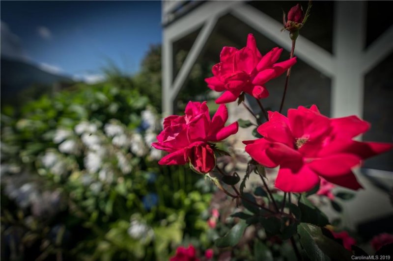 Property image 4 at 10 Onyx Lane, Maggie Valley, NC 28751