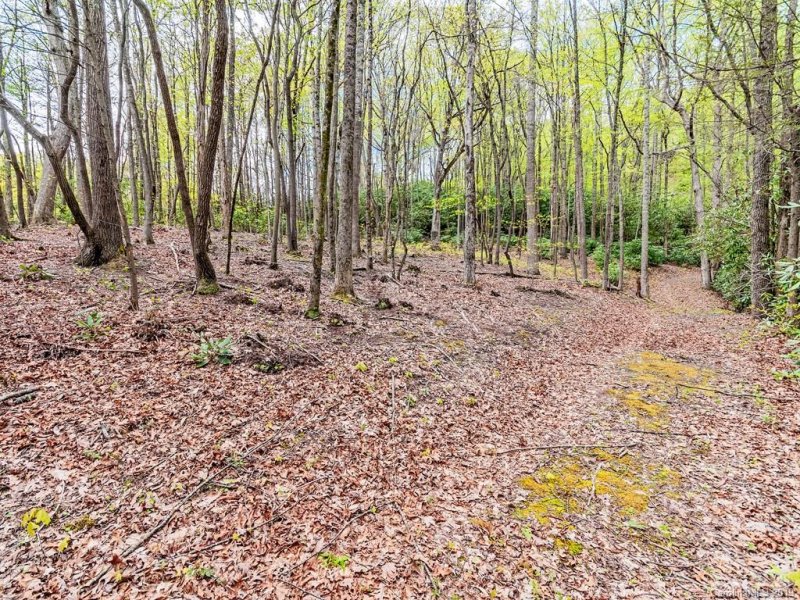 Property image 2 at 000 Laurel Creek Drive, Hendersonville, NC 28792