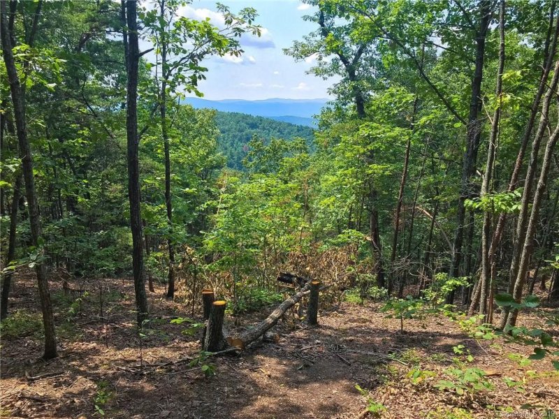 Property image 3 at 3824 Mountain Vista Drive, Morganton, NC 28655