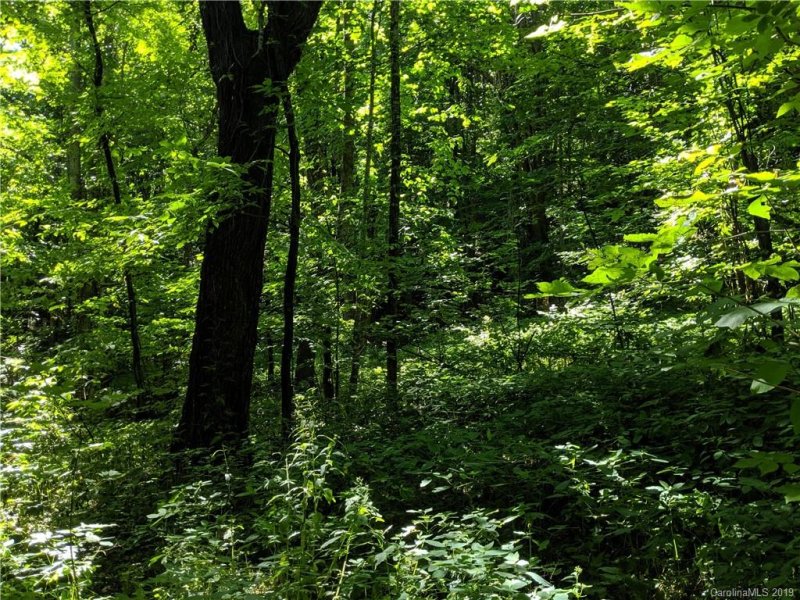 Property image 2 at 74 76 Live Oak Loop, Waynesville, NC 28785