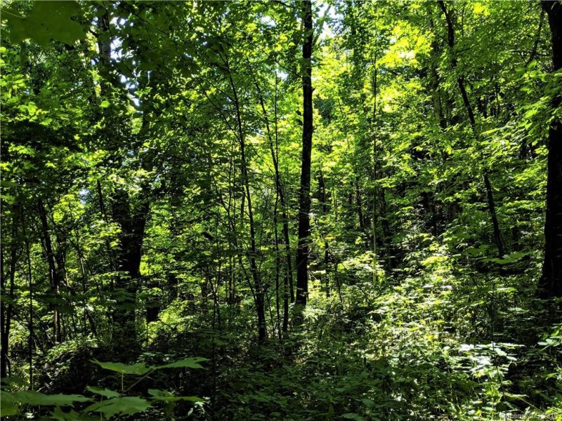 Property image 3 at 74 76 Live Oak Loop, Waynesville, NC 28785