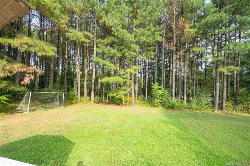 Property image 4 at 463 Pine Forest Court, Vale, NC 28168