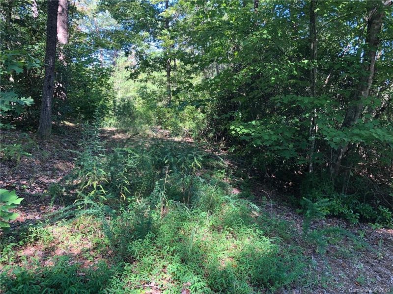 Property image 2 at 00 Raleigh Drive, Lake Lure, NC 28746