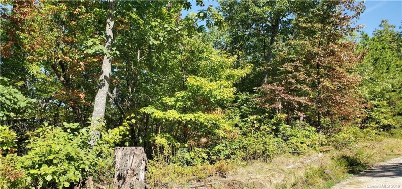 Property image 2 at 0 Pinnacle Parkway, Union Mills, NC 28167