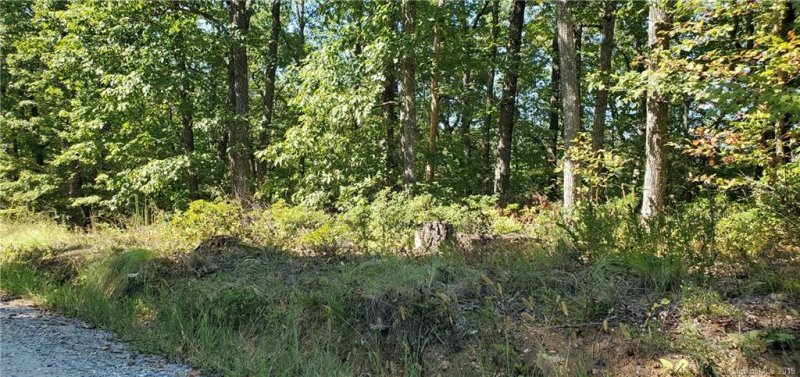 Property image 4 at 0 Pinnacle Parkway, Union Mills, NC 28167