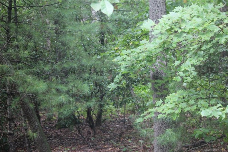 Property image 2 at 0 Windjammer Way, Hendersonville, NC 28791