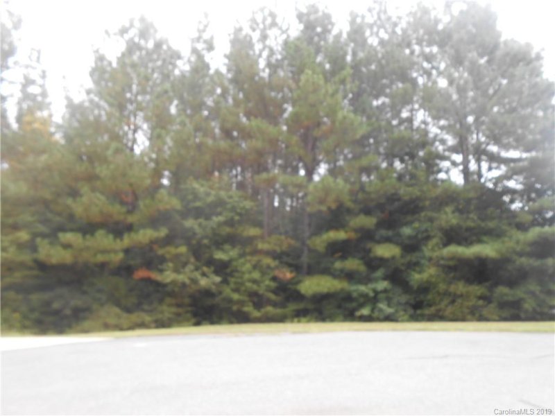 Property image 3 at 6204 Bellingham Drive, Mount Holly, NC 28120