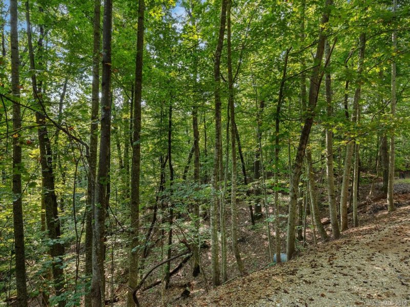 Property image 2 at Lot 38 Restless Creek Road, Saluda, NC 28773