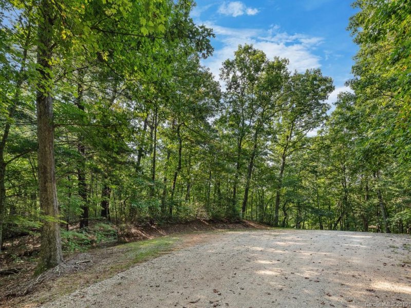 Property image 3 at Lot 38 Restless Creek Road, Saluda, NC 28773