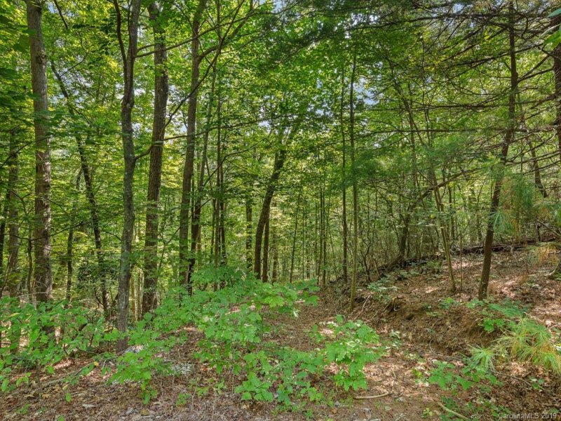 Property image 5 at Lot 38 Restless Creek Road, Saluda, NC 28773