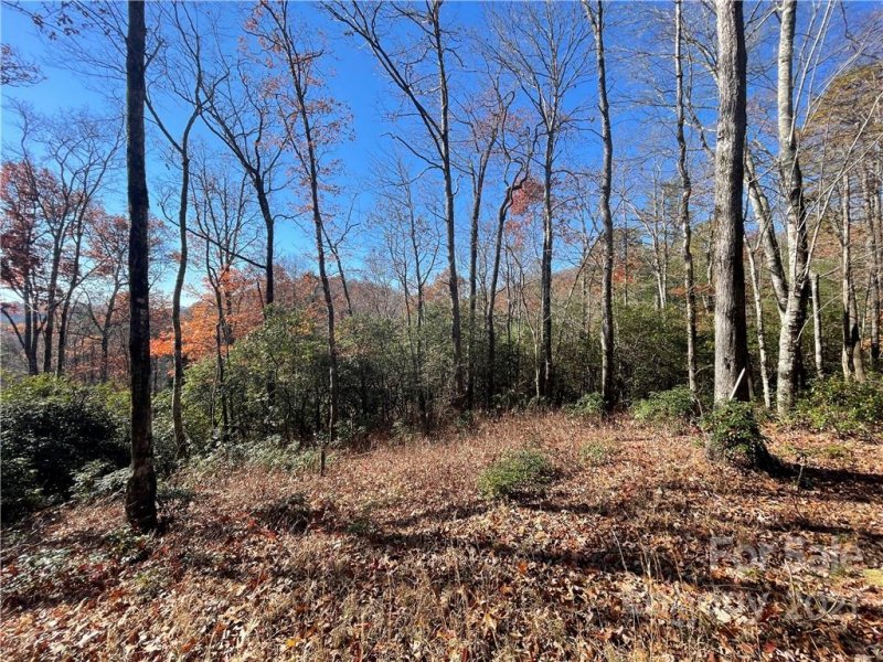 Property image 2 at Lot 132 Green Hollow Lane, Brevard, NC 28712