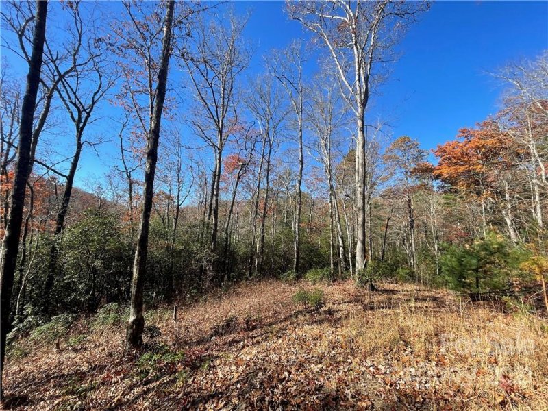 Property image 3 at Lot 132 Green Hollow Lane, Brevard, NC 28712