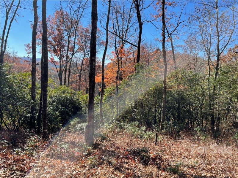 Property image 4 at Lot 132 Green Hollow Lane, Brevard, NC 28712