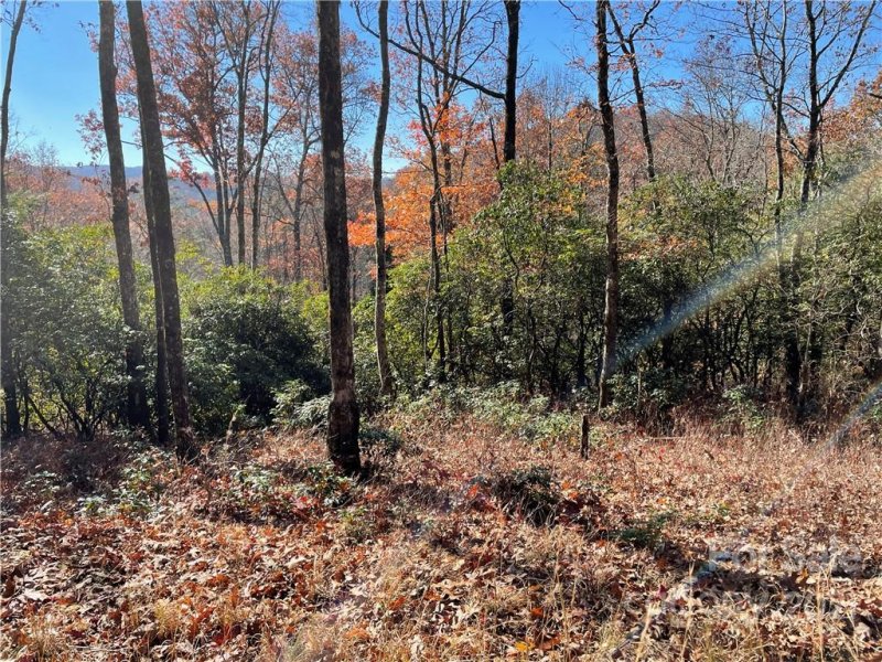 Property image 5 at Lot 132 Green Hollow Lane, Brevard, NC 28712