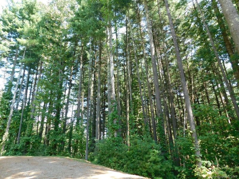 Property image 2 at 00 Forest Rose Lane, Sylva, NC 28779