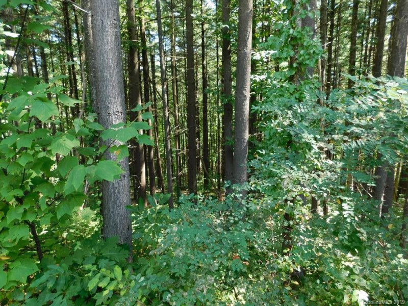 Property image 4 at 00 Forest Rose Lane, Sylva, NC 28779