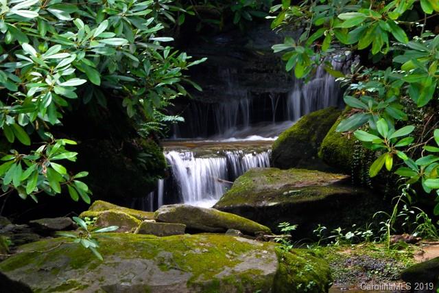 Property image 3 at 538 Hungry River Road, Flat Rock, NC 28731