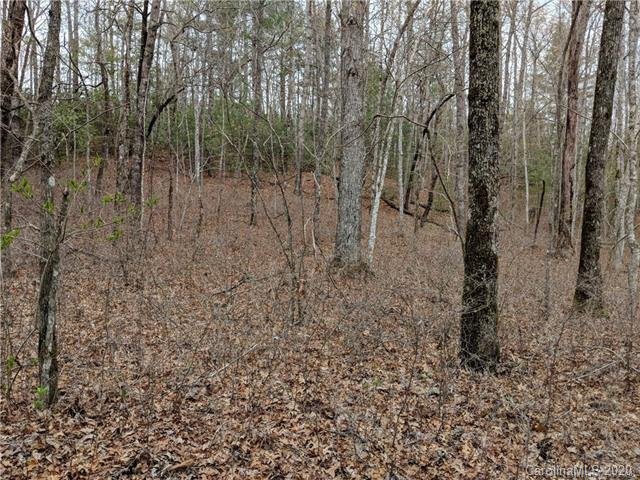 Property image 4 at Tbd Line Runner Lake Road, Rosman, NC 28772