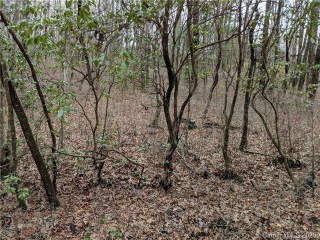 Property image 5 at Tbd Line Runner Lake Road, Rosman, NC 28772