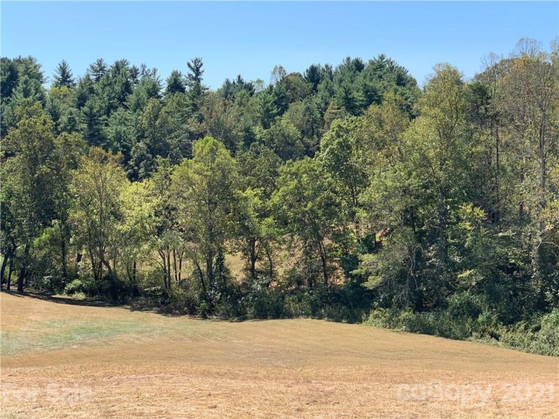 Property image 3 at 99999 Enchanted Oak Lane, Alexander, NC 28701