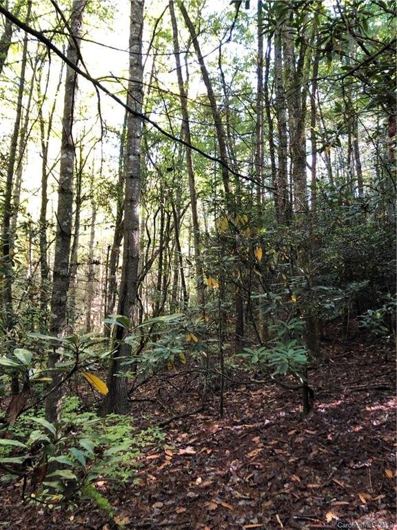 Property image 4 at 132 Moon Circle, Brevard, NC 28712