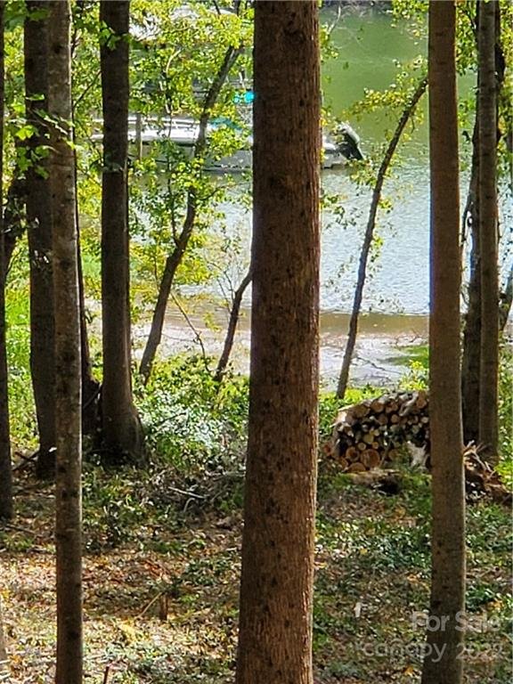 Property image 3 at 4812 Rio De Luna Street, Hickory, NC 28601