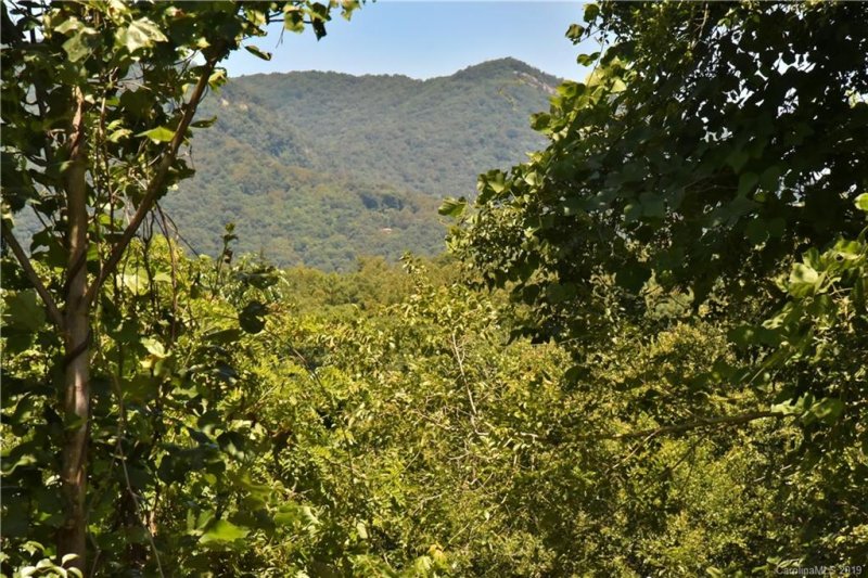 Property image 5 at 19 Alice Clement Lane, Asheville, NC 28803