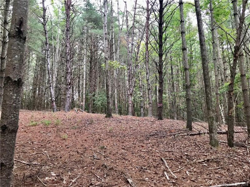 Property image 3 at 1388 Old Dry Creek Road, Morganton, NC 28655