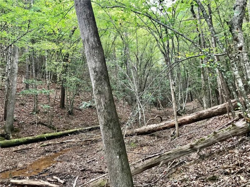 Property image 5 at 1388 Old Dry Creek Road, Morganton, NC 28655