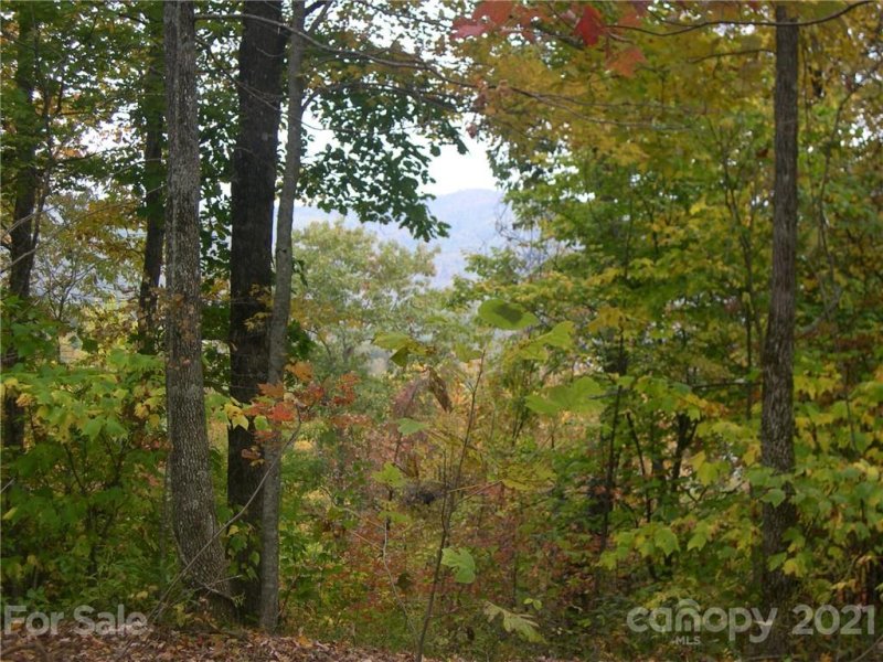 Property image 5 at Tbd Halltown Road, Spruce Pine, NC 28777