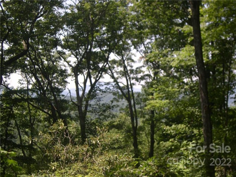 Property image 4 at Tbd Halltown Road, Spruce Pine, NC 28777