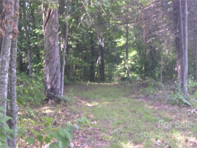 Property image 5 at Tbd Halltown Road, Spruce Pine, NC 28777