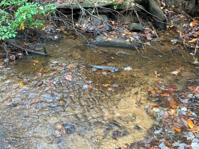 Property image 2 at Tbd Stoneway Drive, Cedar Mountain, NC 28718