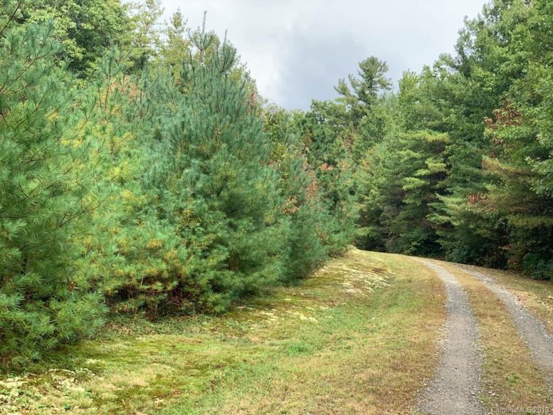 Property image 4 at Tbd Stoneway Drive, Cedar Mountain, NC 28718