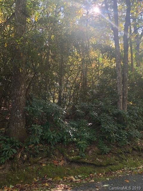 Property image 3 at 0000 Spring Road, Spruce Pine, NC 28777