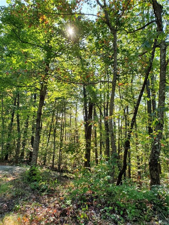 Property image 3 at 0 Pinnacle Parkway, Union Mills, NC 28167