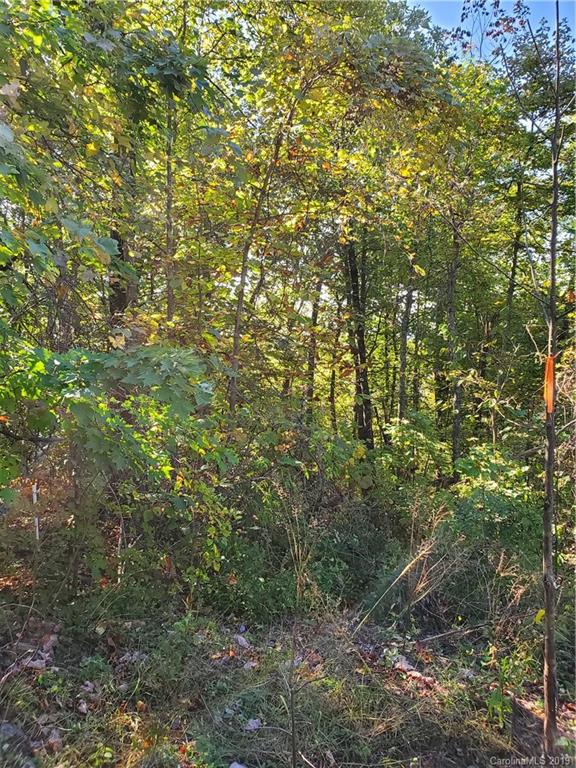 Property image 5 at 0 Pinnacle Parkway, Union Mills, NC 28167