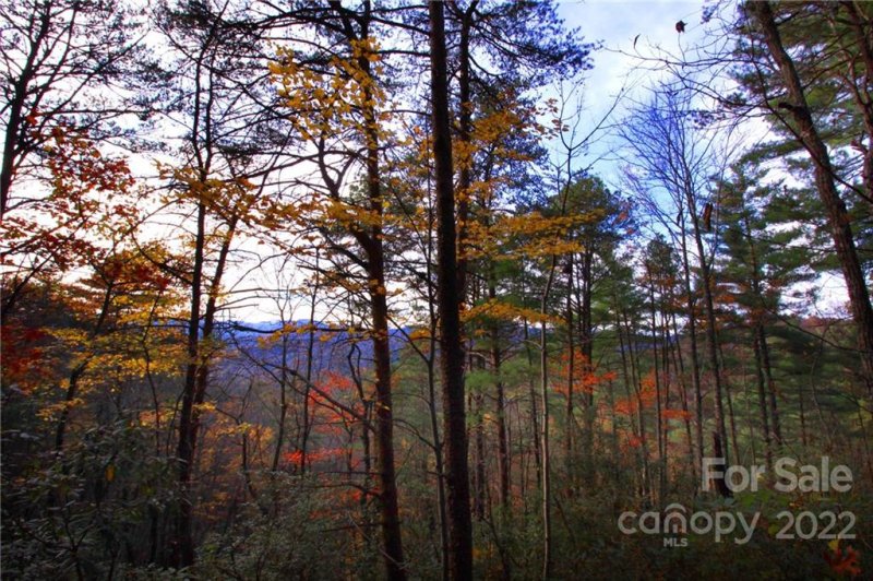 Property image 3 at Tract 2 Bear Pen Hollow Road, Brevard, NC 28712