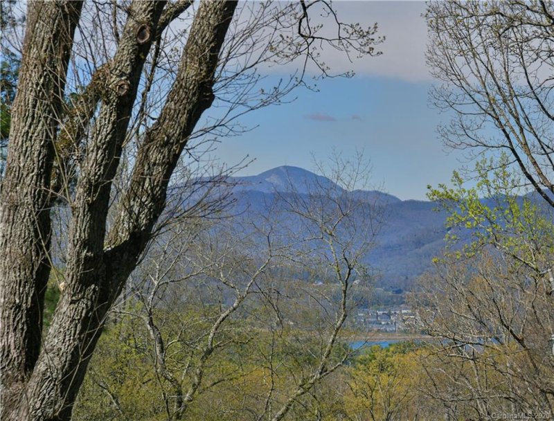 Property image 3 at 242 Birch Lane, Arden, NC 28704