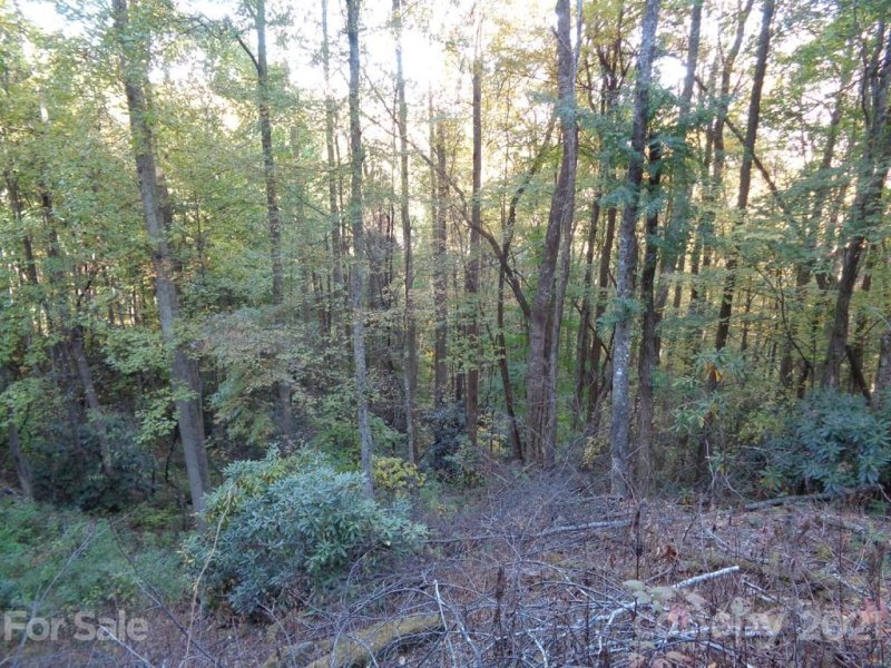 Property image 3 at 17 Connies Cove, Waynesville, NC 28785