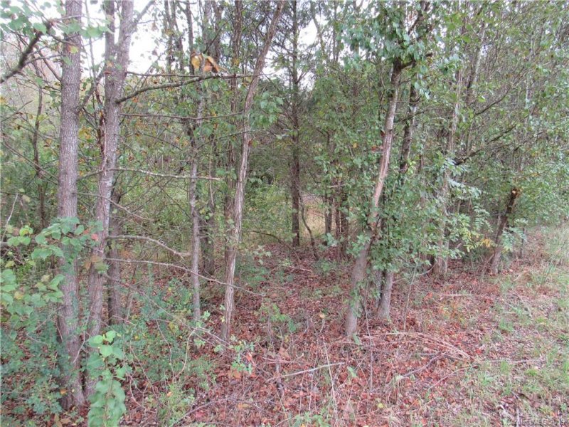 Property image 5 at 113 Coleman Goforth Farm Road, Kings Mountain, NC 28086