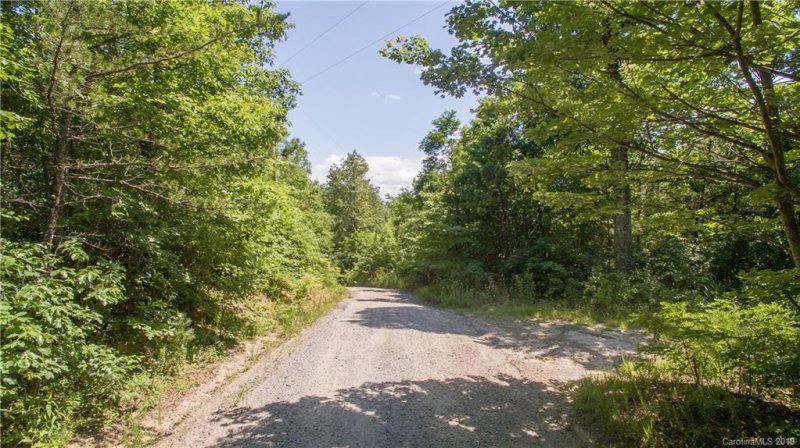 Property image 2 at 60 Burnt Ridge Trail, Black Mountain, NC 28711