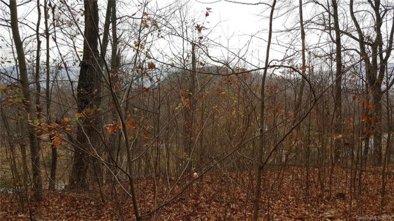 Property image 2 at 0 Grand Oaks Drive, Hendersonville, NC 28792