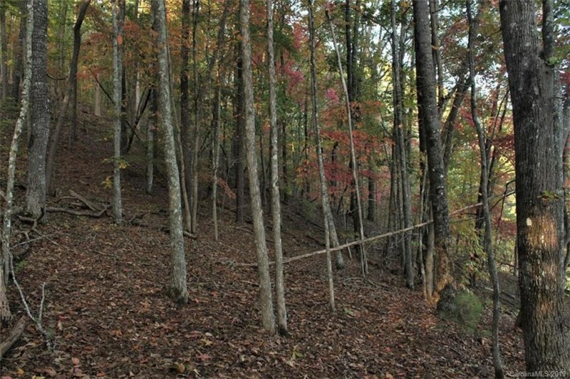 Property image 5 at 0 Lake S Way, Bryson City, NC 28713