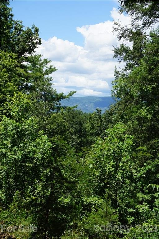 Property image 2 at 4932 E Crest Drive, Morganton, NC 28655