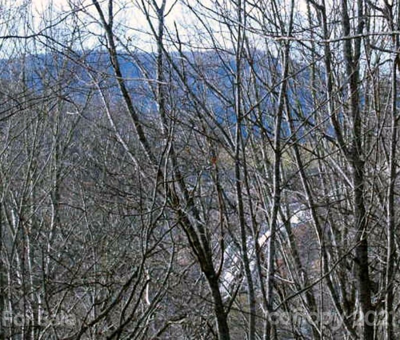 Tbd Falls View Drive