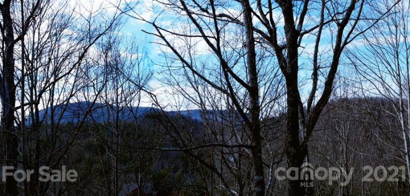 Property image 2 at Tbd Falls View Drive, Lake Toxaway, NC 28747