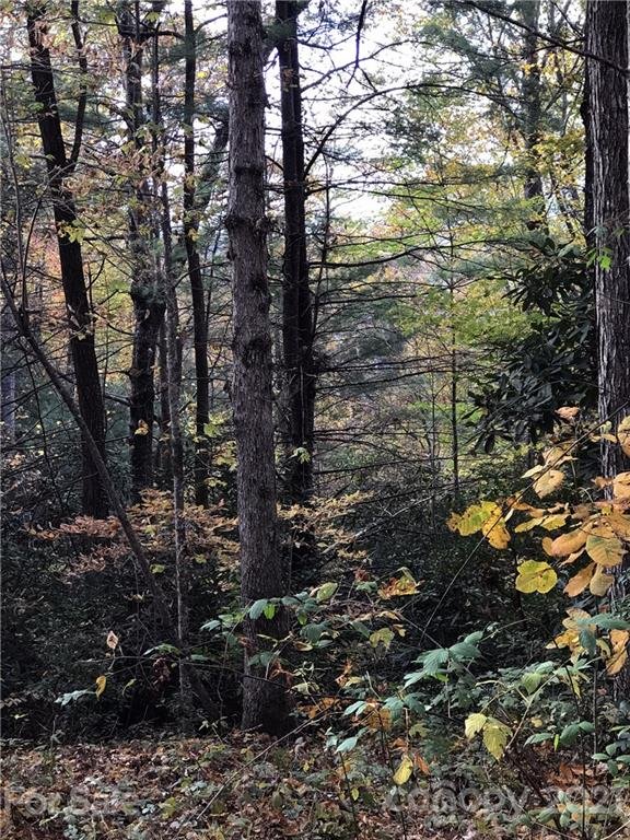 Property image 3 at Tbd Falls View Drive, Lake Toxaway, NC 28747